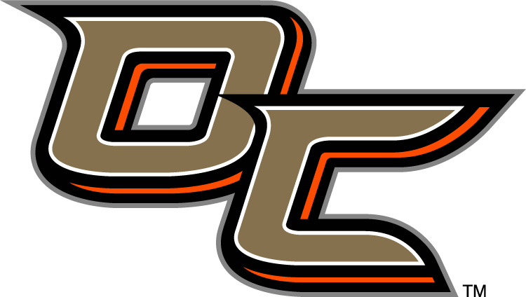 Anaheim Ducks 2014 Special Event Logo DIY iron on transfer (heat transfer)